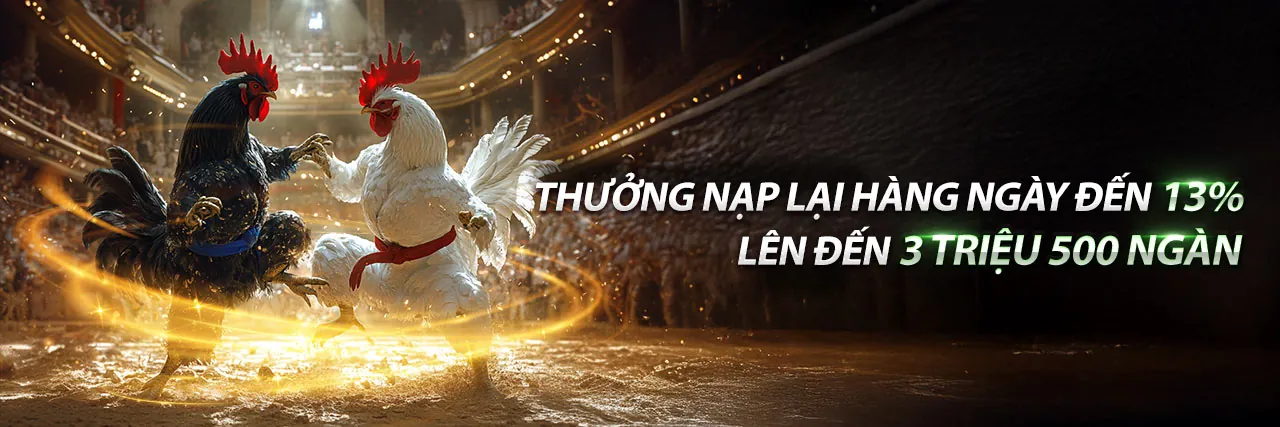 Lợi Ích Nhà Cái 79ok - Nền tảng cá cược trực tuyến hàng đầu Việt Nam